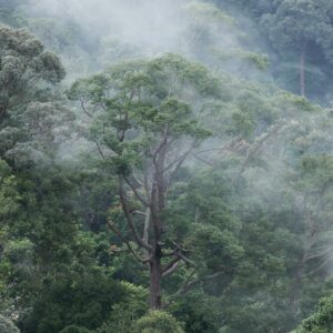 joshua-kettle-DhT_Mm14-34-unsplash