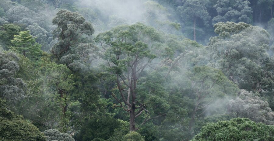 joshua-kettle-DhT_Mm14-34-unsplash