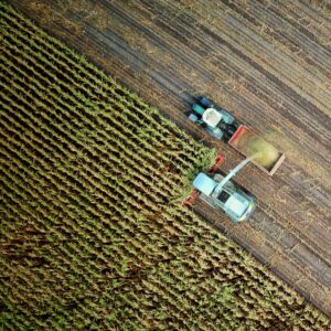 no-one-cares-l_5MJnbrmrs-unsplash