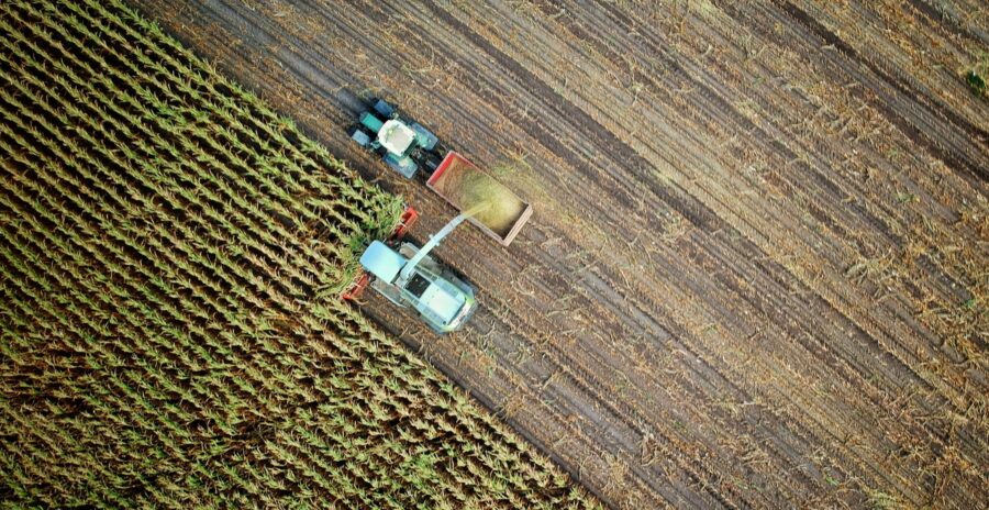 no-one-cares-l_5MJnbrmrs-unsplash